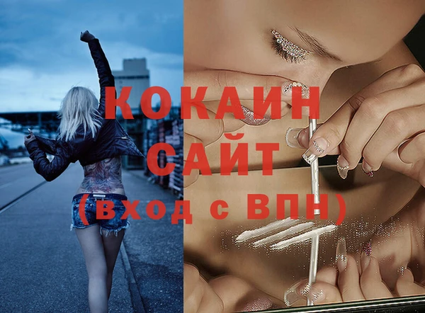 ПСИЛОЦИБИНОВЫЕ ГРИБЫ Ростов