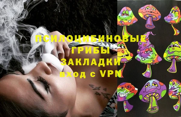скорость Вяземский