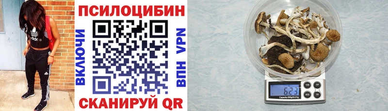 Псилоцибиновые грибы мицелий  цена   Богданович 