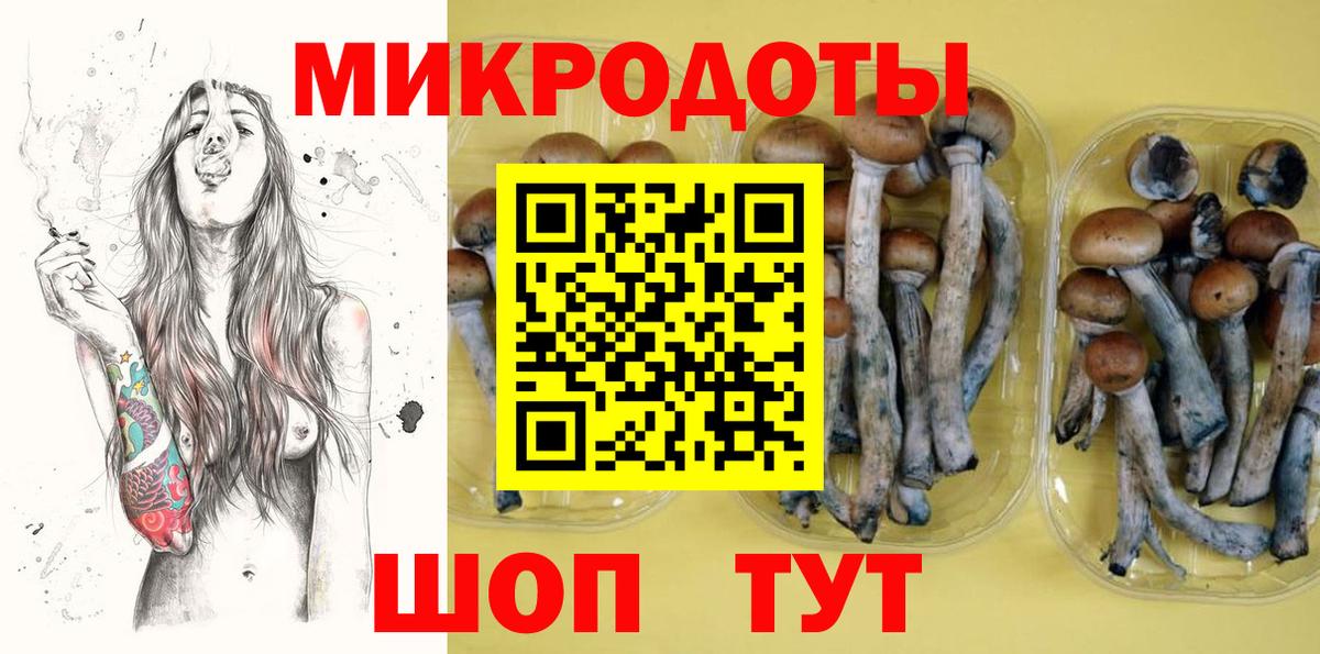 цена   Богданович  Галлюциногенные грибы мицелий 