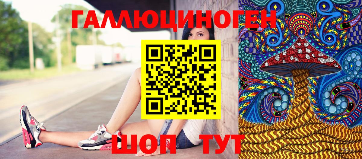 Галлюциногенные грибы мицелий Богданович