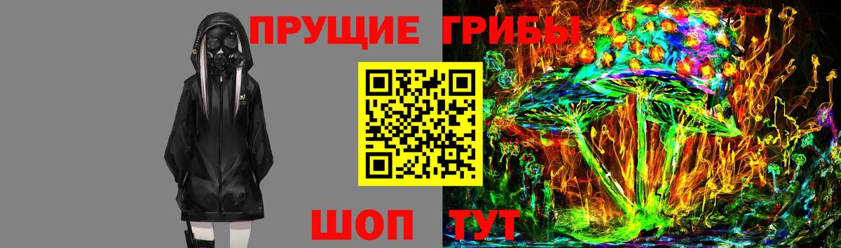 Богданович  Псилоцибиновые грибы прущие грибы  Вход с VPN 
